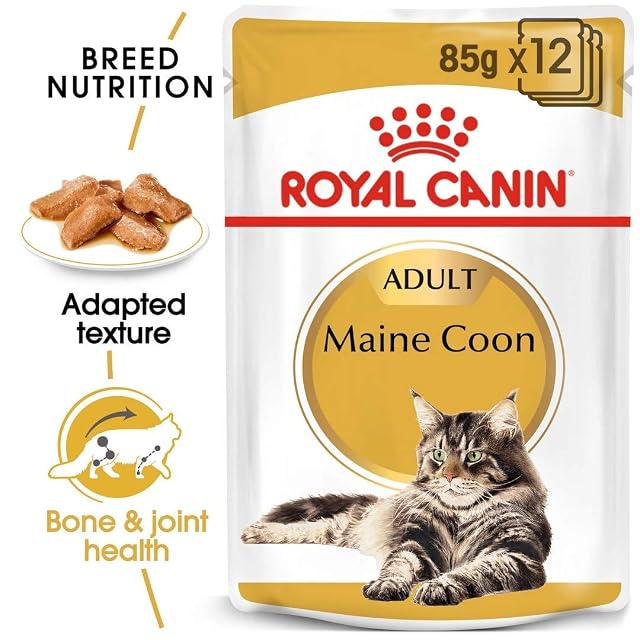 Foto 3 de 4 de Royal Canin Maine Coon Adult