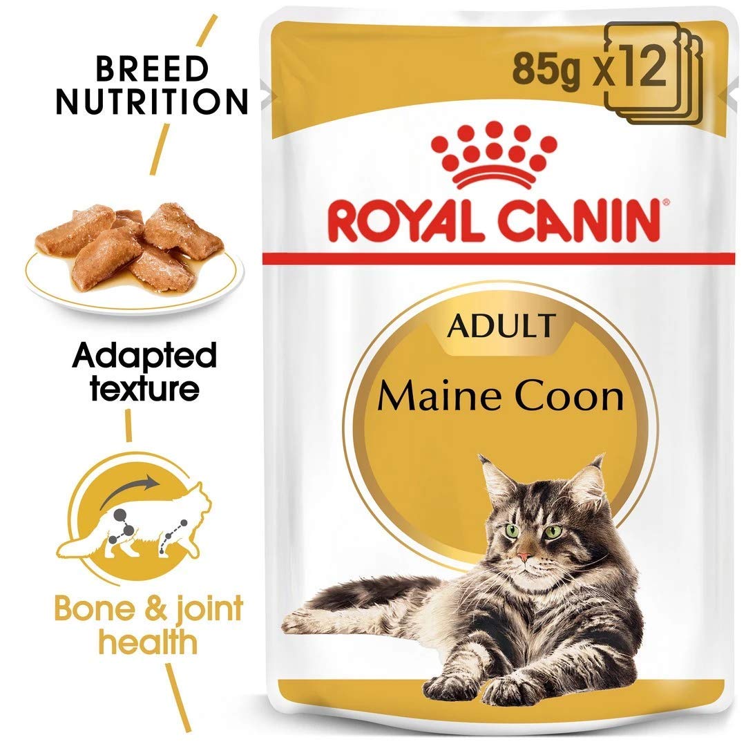 Royal Canin Maine Coon Adult | 4er Pack | 4 x 12 x 85 g | Nassfutter für Katzen | Speziell auf die Bedürfnisse von Maine Coon Katzen abgestimmt | Angepasster Energiegehalt