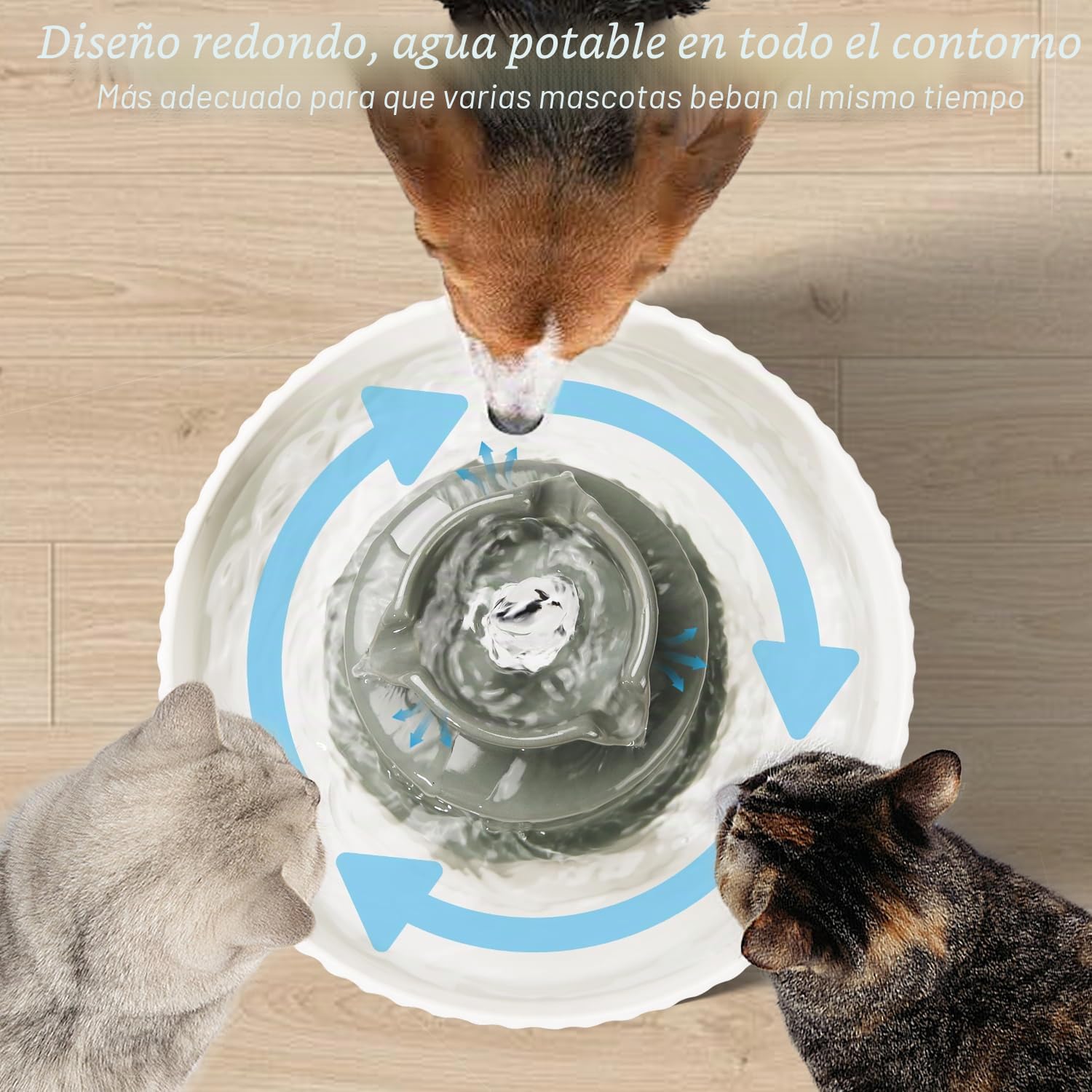 Fuente de Agua de cerámica para Gatos, 2.1L/70 onzas, Fuente de Agua automática para Gatos, Cuenco de Agua para Mascotas, dispensador de Agua de Porcelana para Gatos con Bomba ultrasilenciosa para