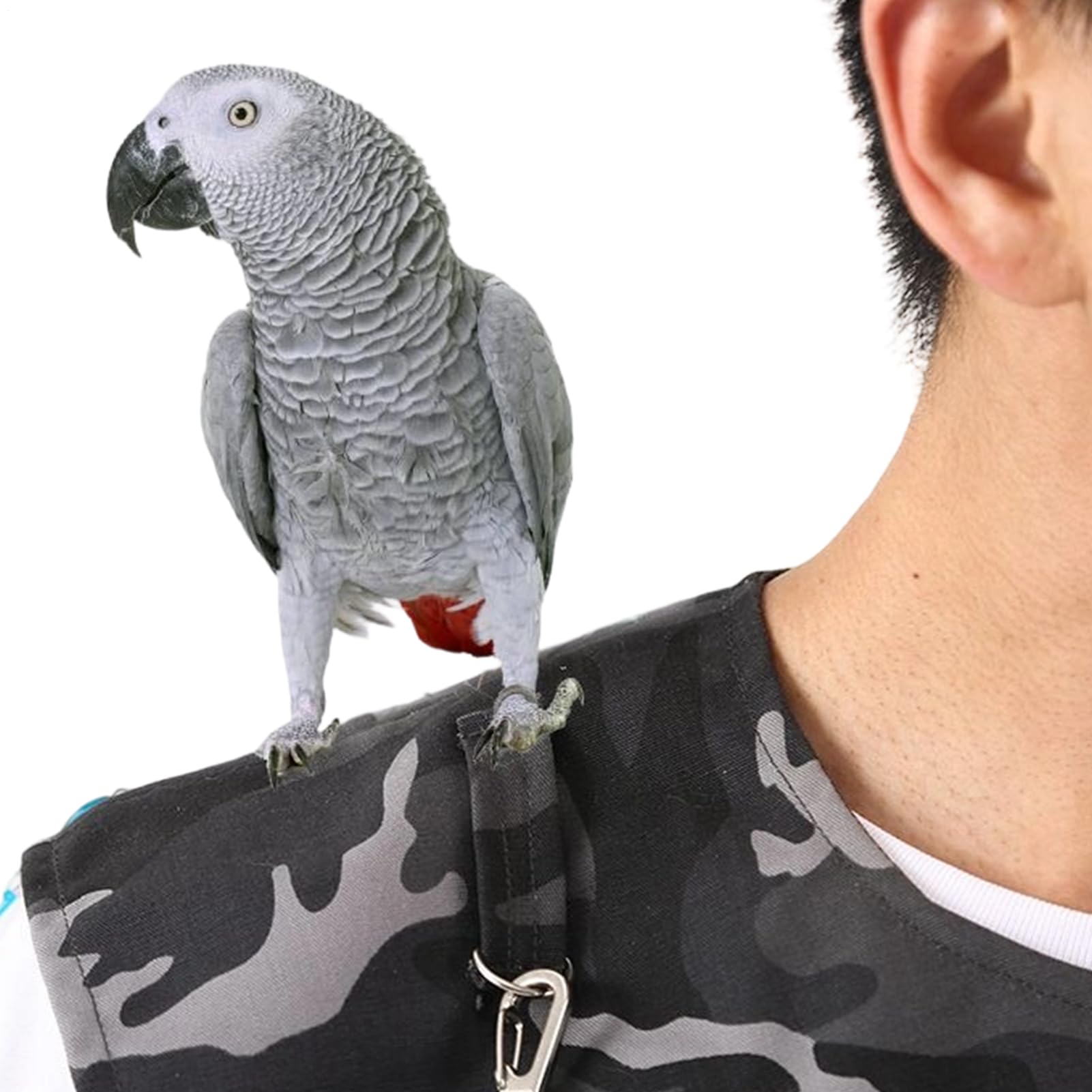 Housse D'épaule – Protecteur De Déjections D'oiseaux En Denim De 50 Cm, Coussin D'entraînement Anti-rayures, Épaulette Réutilisable, Protège-bras Confortable | Housse D'épaule Durable Pour Oiseaux, Po