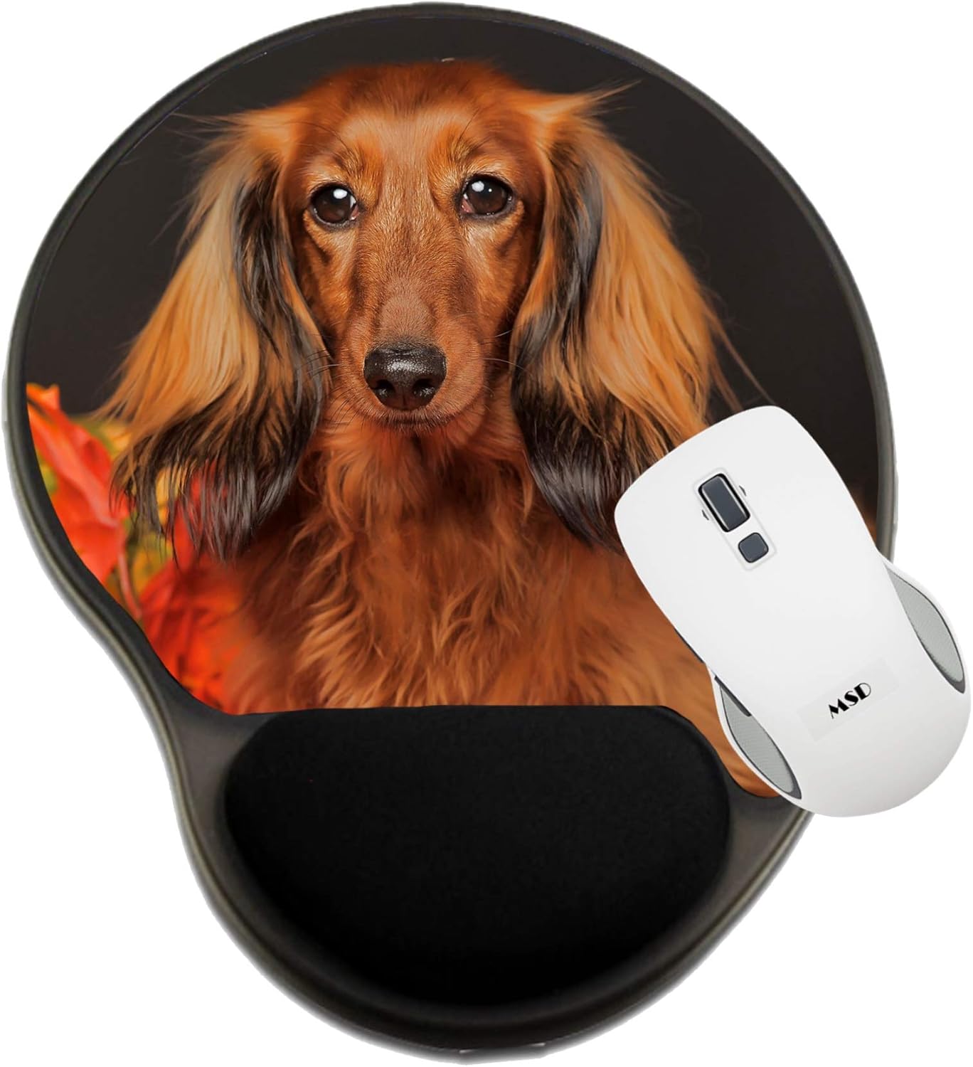 MSD Mousepad Wrist Rest Protected Mouse Pads, Mat with Wrist Support, Image ID: 23884274 long haired dachshund in The autumn