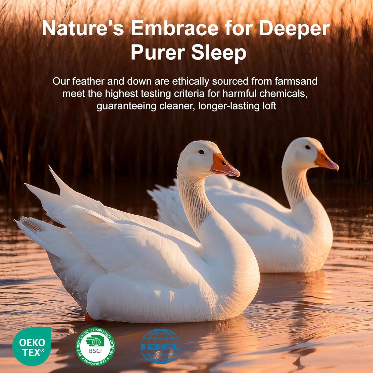 Canadian Goose Down Comforter King Size, Ultra Soft 1200TC Cotton Cover, 950 Fill Power Thick Duvet Insert, Luxurious Warm Bedding Comforter for All Season (White, 106"x90")