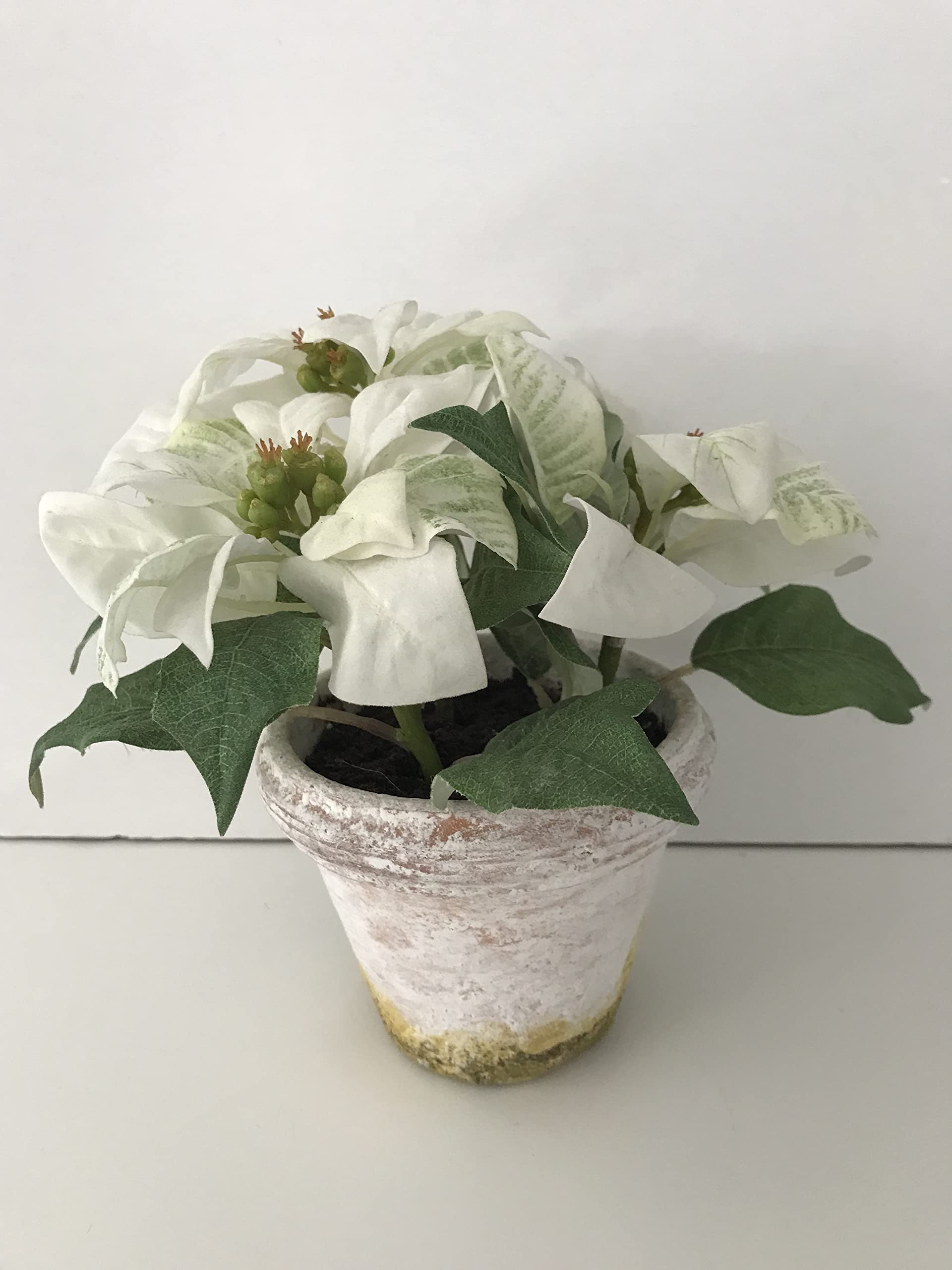 Plante avec vase étoile blanche pot céramique décoration maison 23cm
