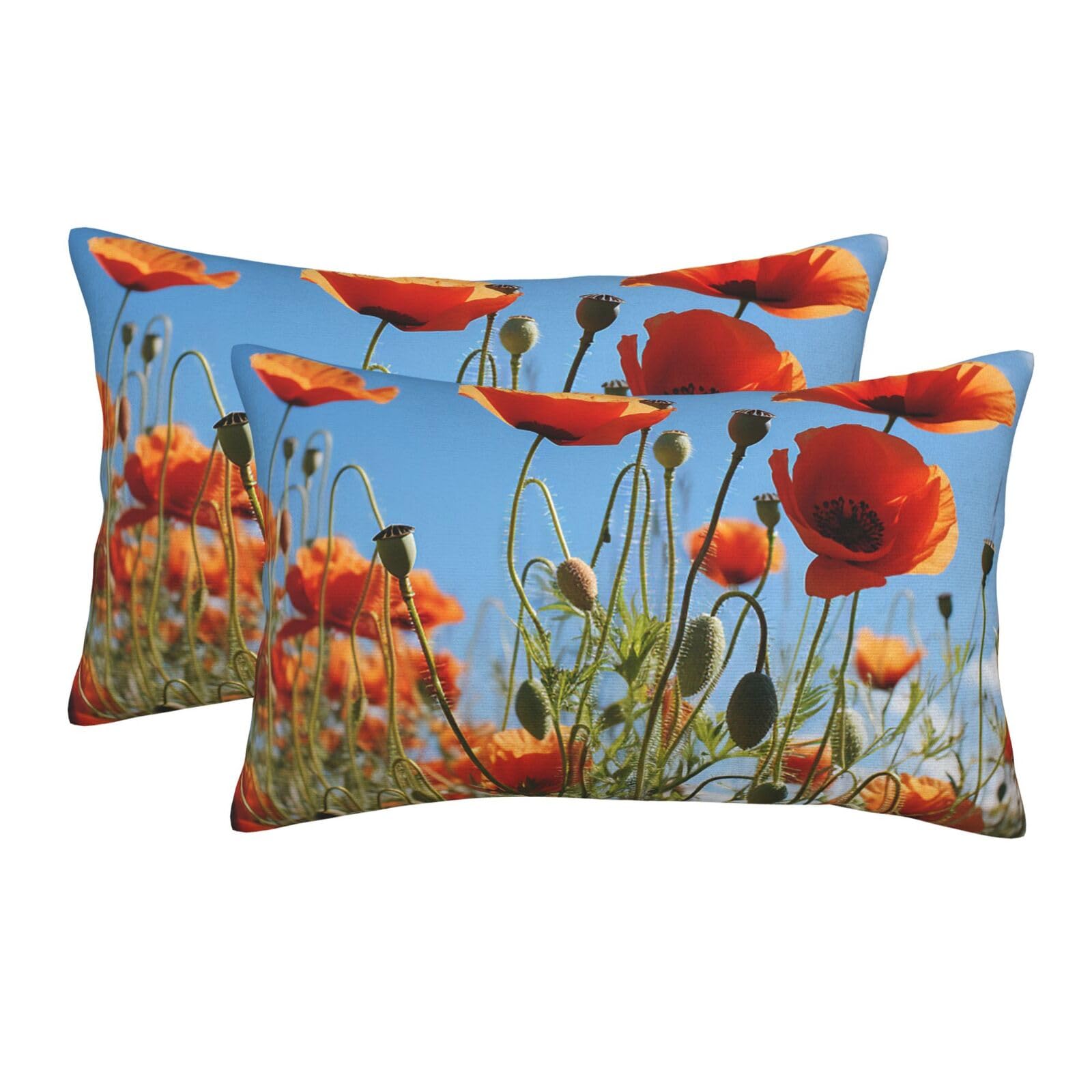 2 Pack Pillow Cases with Hidden Zipper, Soft Breathable Pillow Covers for Hair and Skin, Poppies on Blue Sky Pillowcases 20"x30" Bed Pillow Protectors Cover for Sleeping Gifts