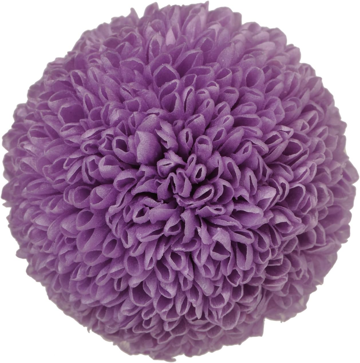 Amazon Co Jp 大地農園 日本製 プリザーブドフラワー ポンポン菊 ミディ 花径約3 2 4cm 9輪 ラズベリー ホーム キッチン