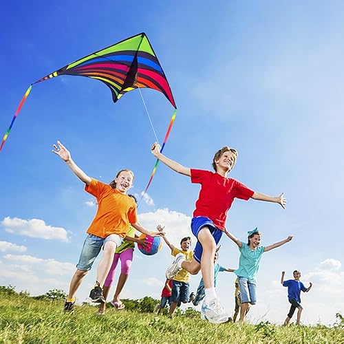 Miniatura 4 de Mint's Colorful Life Cometa Delta para niños y adultos, cometa extremadamente fácil de volar, las mejores cometas para principiantes