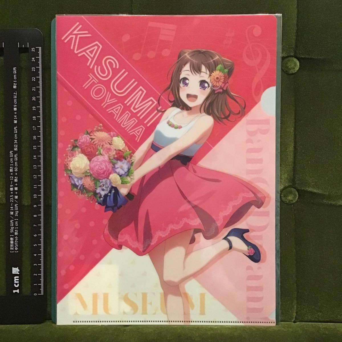 Amazon.co.jp: 戸山香澄 A4クリアファイル BanG Dream バンドリ