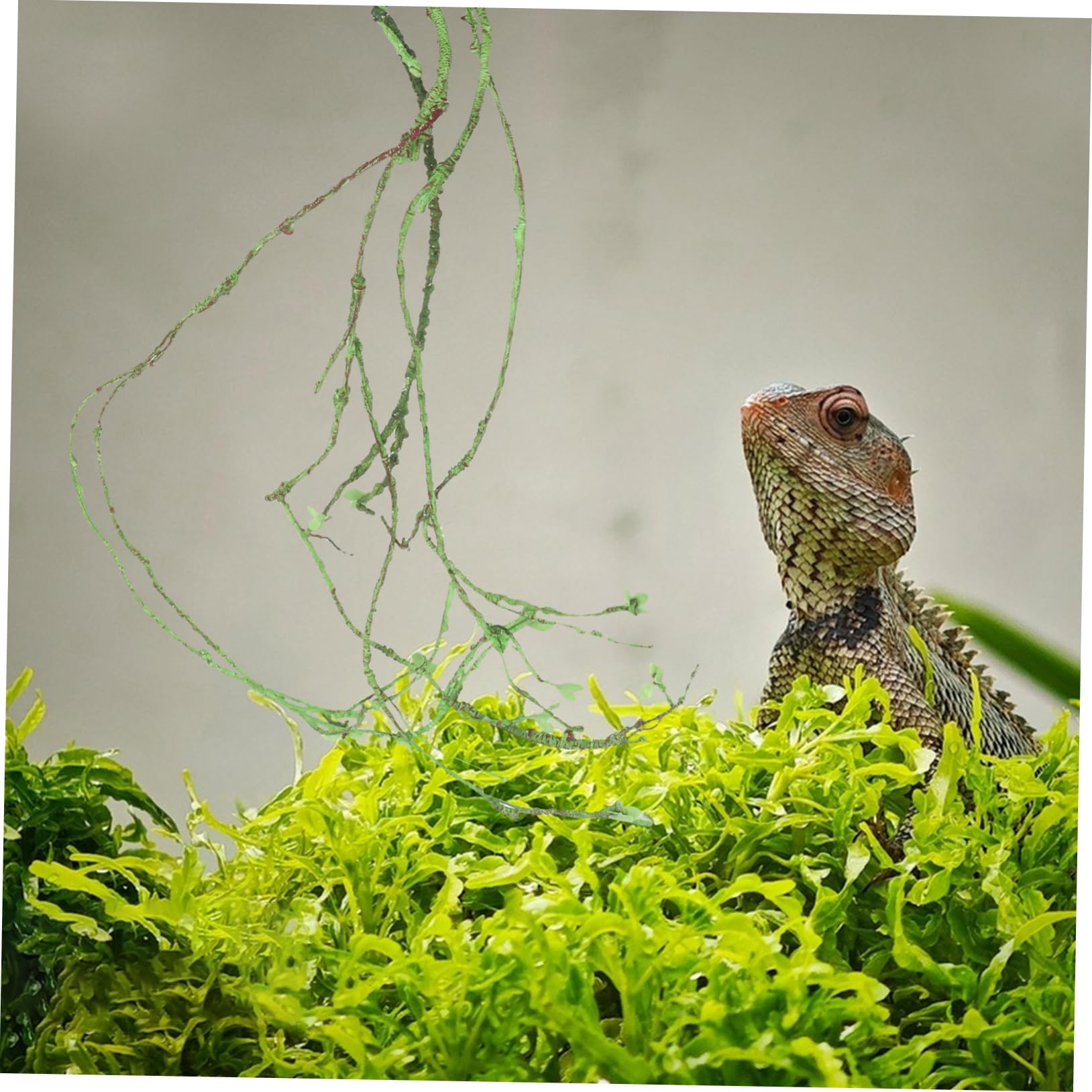 Happyyami Künstliche Rankenpflanze Für Reptilien Terrarium Dekoration Kunstranke Als Kletterpflanze Für Haustier Gecko Dschungel Für Terrarium Zubehör