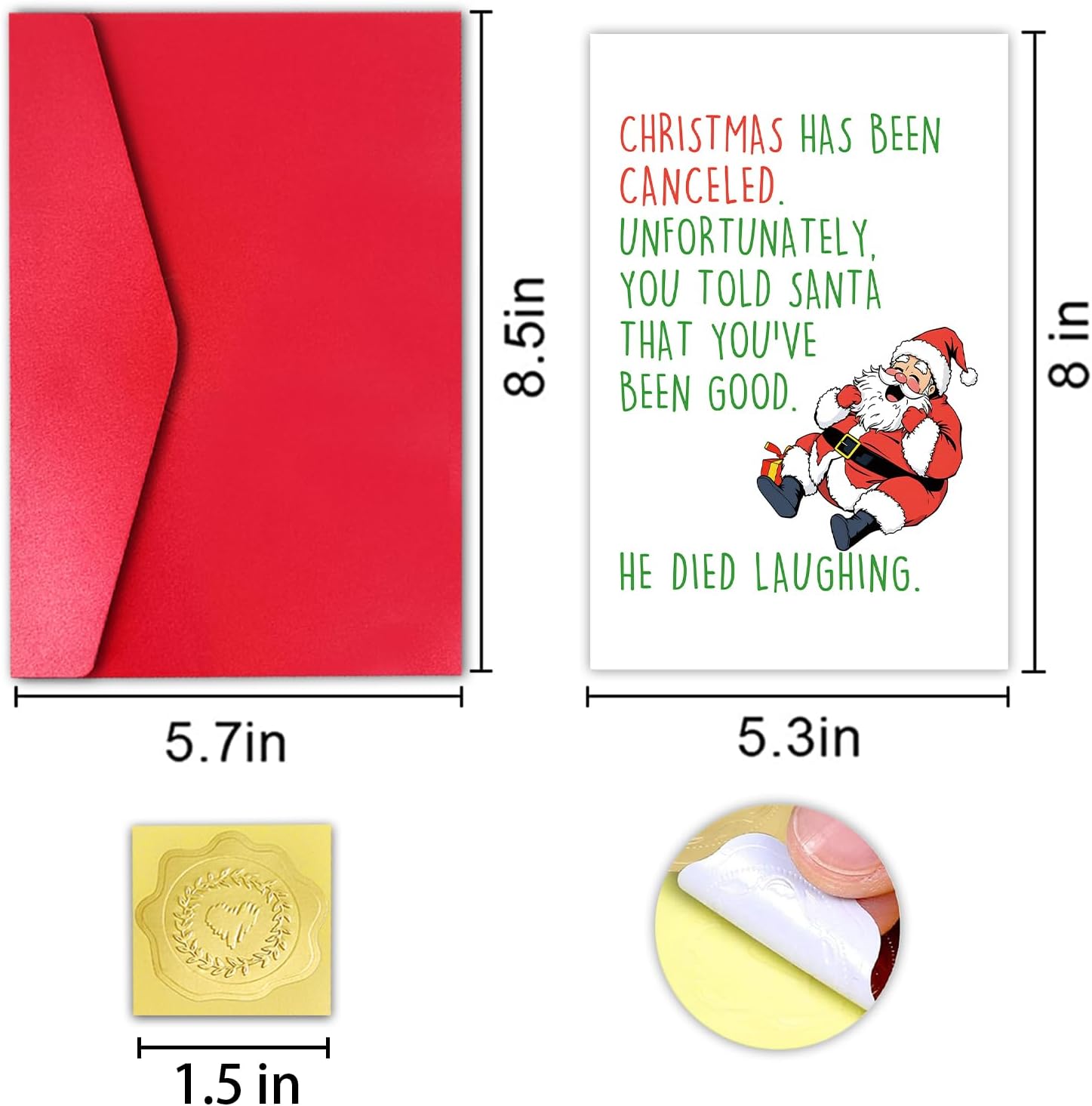 Hilarious Christmas Card for Friend, Funny Christmas Card for Brothers Sisters, Xmas Greeting Card with Envelope, Died Laughing #20