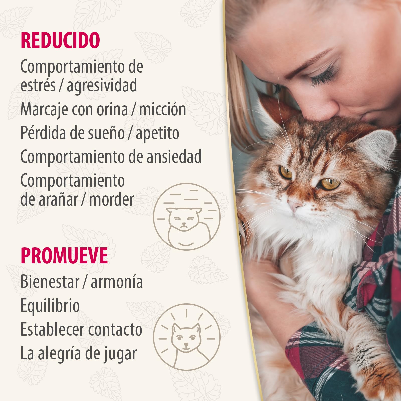 Felisept Home Comfort Spray antiarañazos gatos 100ml - Con Hierba Gatera Natural sin Feromonas para gatos - Reduce El Comportamiento Indeseable, El Estrés Y La Inquietud En Casa Y En Movimiento
