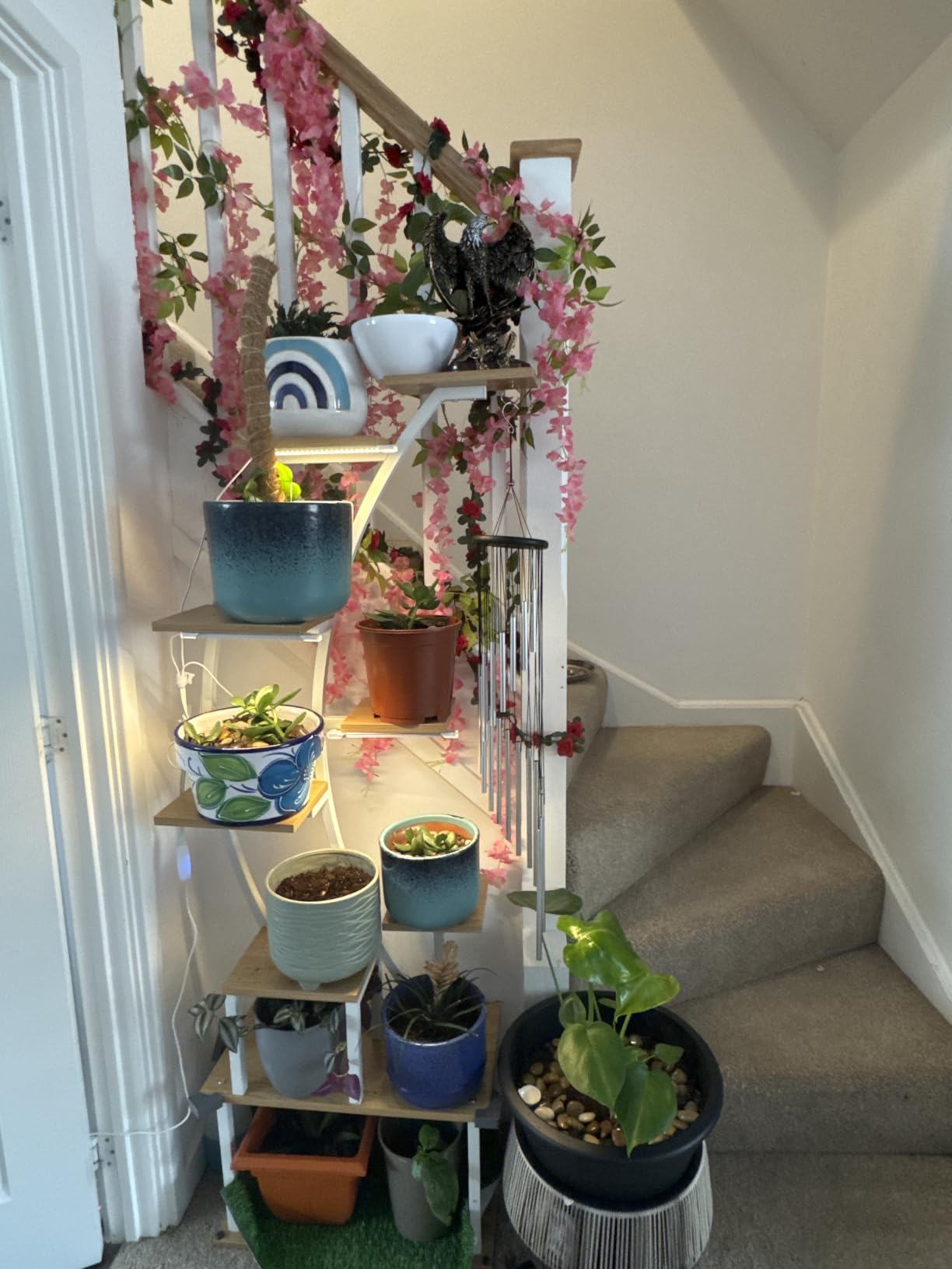 Customer photo