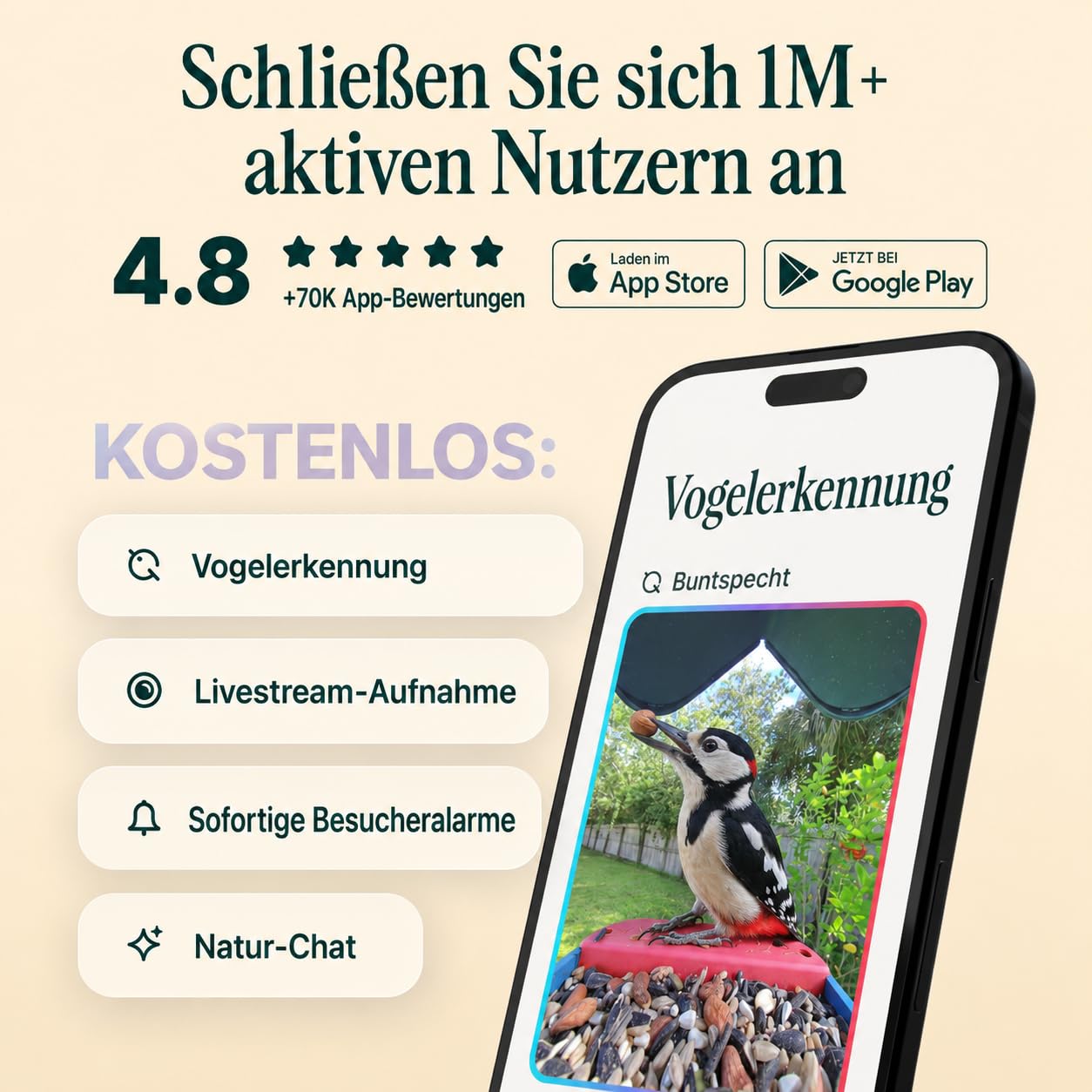 Birdbuddy PRO Solar Smart Bird Feeder mit Kamera – KI-Vogelartenidentifizierung, 5-MP-Fotos, 2K-HD-Video-Livestream-Kamera, Zeitlupenvideo, 2,6-Zoll-Fokus – Blue Solar