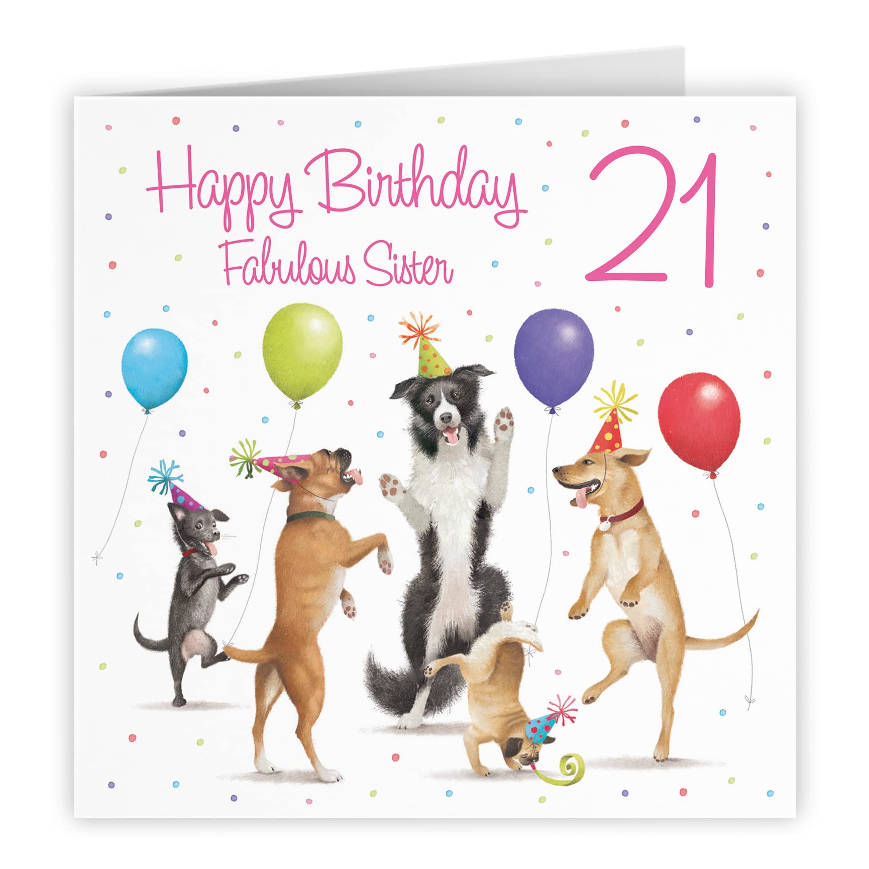 Hunts England 21st Sister Birthday Card - Dancing Dogs - Fabulous Sister - Age 21 - Women's 21st Birthday Card - Milo's Gallery - Funny — view 4