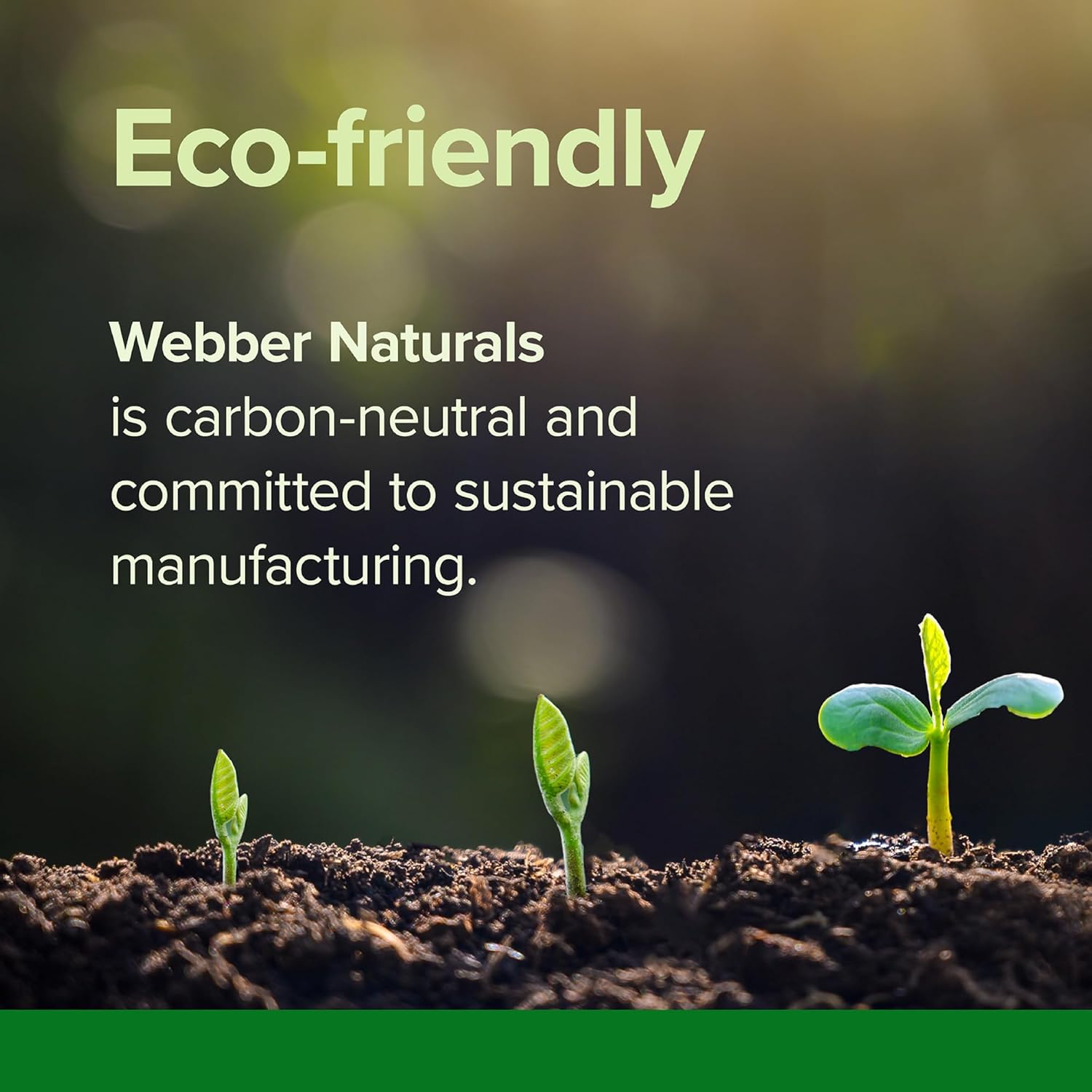 Webber Naturals Apple Cider Vinegar 2000 mg with The Mother, High Potency, 300 Capsules, 2000 mg per Serving, Natural Digestion Support, Non-GMO, Gluten, Dairy & Sugar Free - Image 6