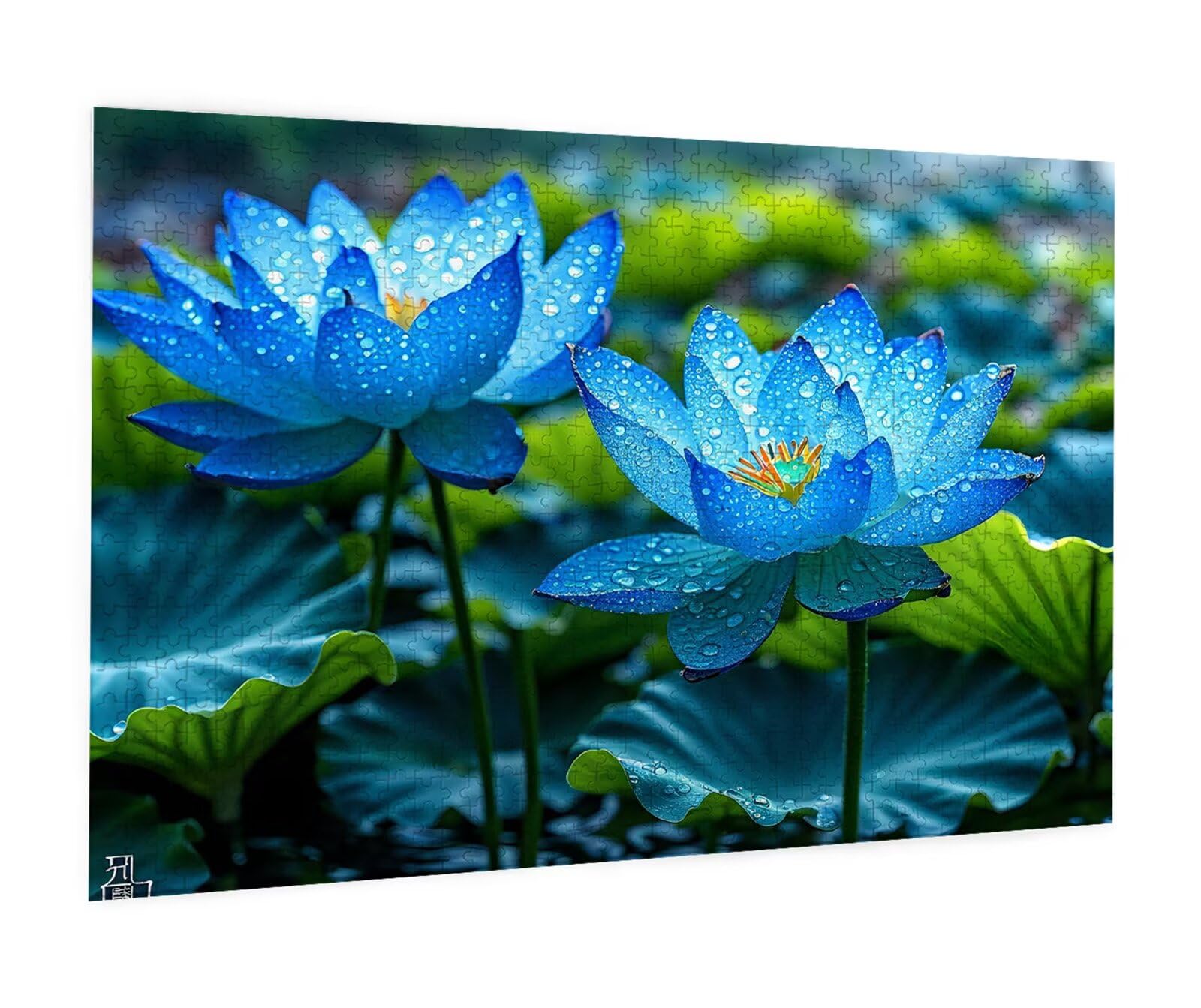 Puzzle 4000 Pièces Adulte Puzzle Lotus Puzzles Classiques, 4000 Pièces Jeu éducatif défi Jouet Puzzles Feuille Art DIY Jeu Occasionnel Jouets Cadeau Intéressants Ami De La Famille Approprié S-271
