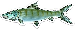 Amazon.com: Bonefish Decal Sticker - 20% Flows Back into The Florida ...