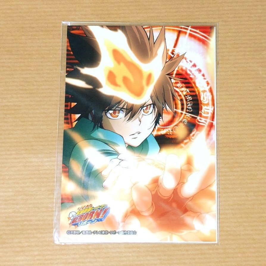 家庭教師ヒットマンREBORN！　沢田綱吉 プリーモ リボアニ アニメモバイル 家庭教師ヒットマンREBORN! Android(960×800)待ち受け 沢田綱吉