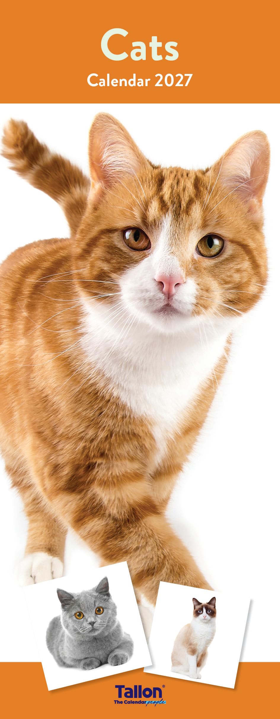 2027 Slim Month To View Spiral Bound Cat Photo Wall Calendar - Cats