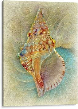 Canvas Lab | Aquatica I by Steve Hunziker | 12 x 16 in | Canvas Print Wall Art | Coastal, Nature | Wall Decor for Bedroom, Living Room or Office