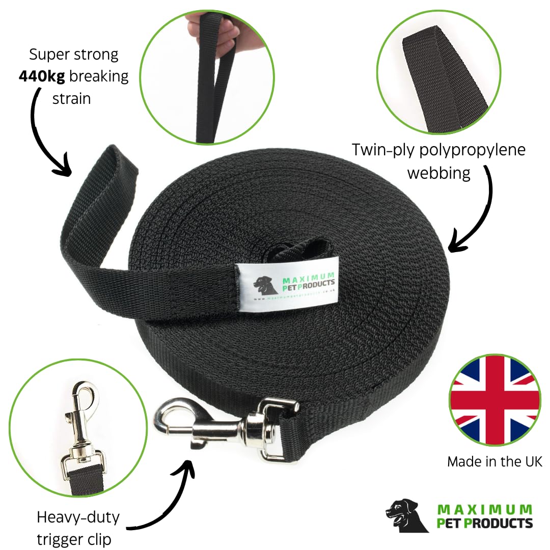 80-Foot (24m) Long Dog Training Lead - 25mm Wide, Strong Webbing, Various Colors (UK Made)