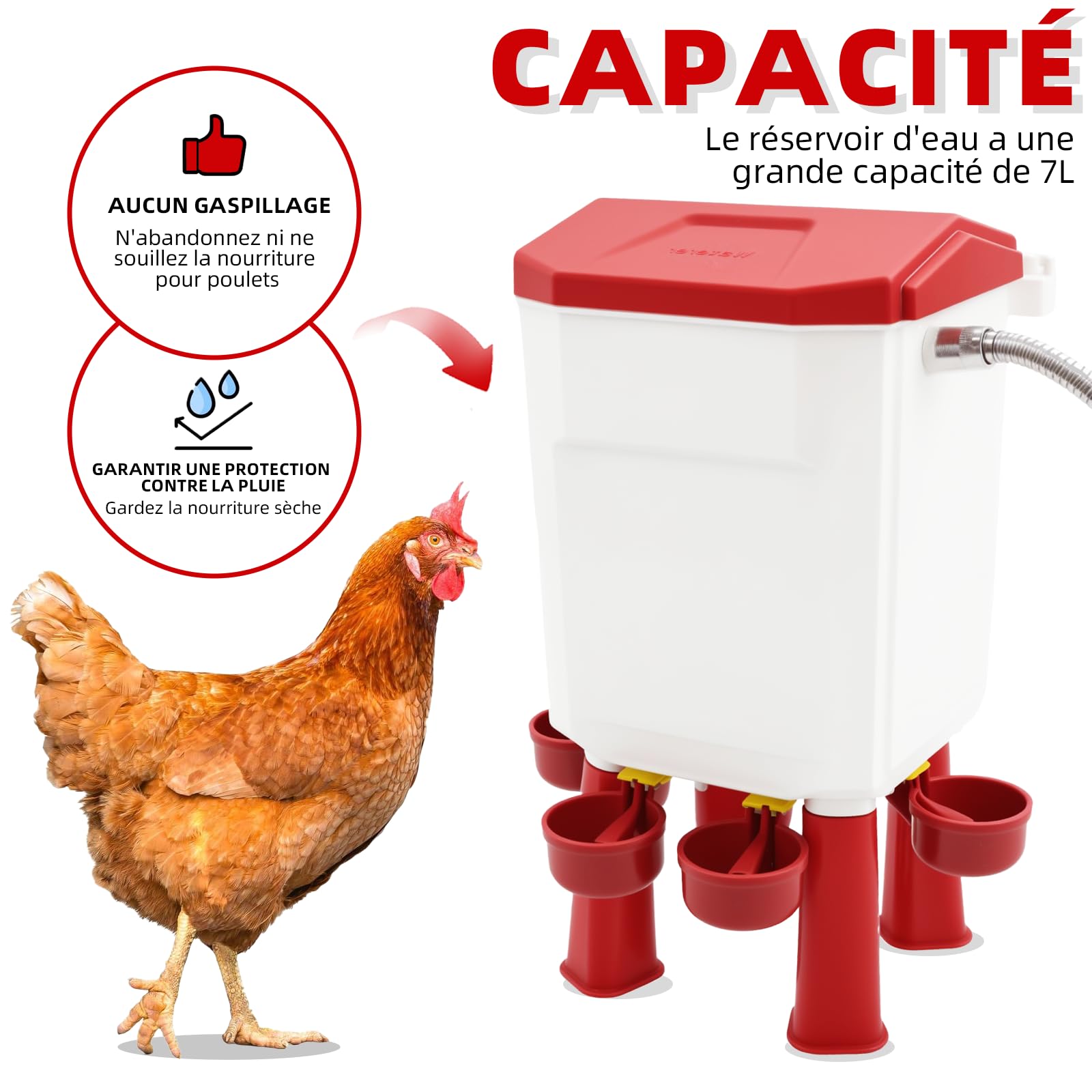 Abreuvoir Auto 7L pour volailles, posé/Suspendu, Accessoires Inclus
