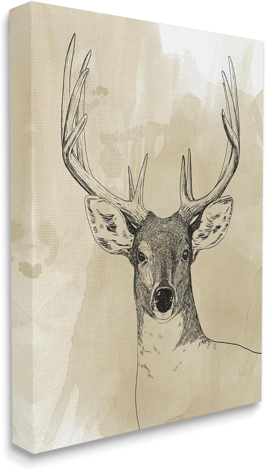 Stupell Industries Deer Portrait Drawing Canvas Wall Art Design by Grace Popp