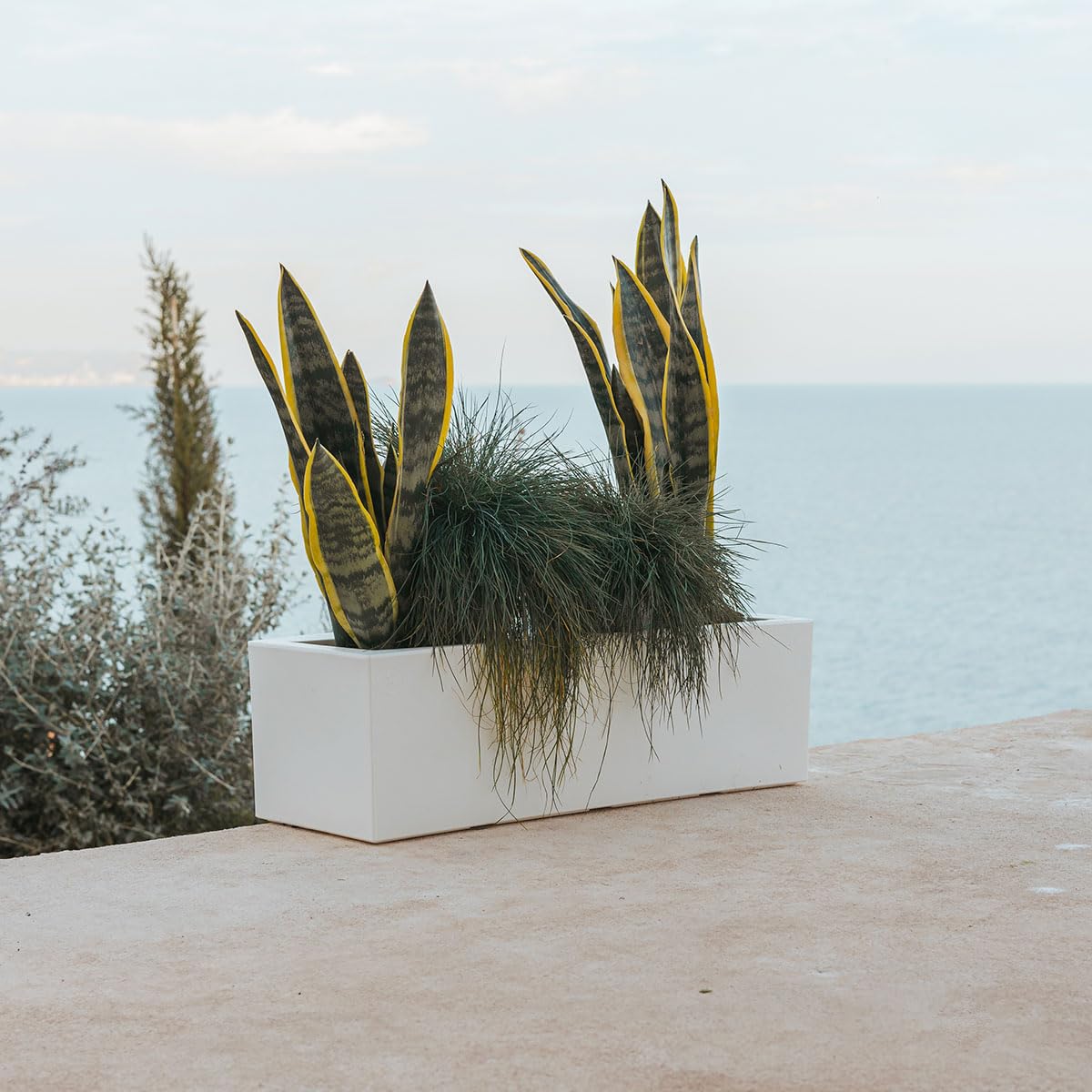 newgarden Jardinera Rectangular Blanca Grande 100 x 40 cm, macetero Exterior e Interior para Plantas, jardín y terraza – Jara