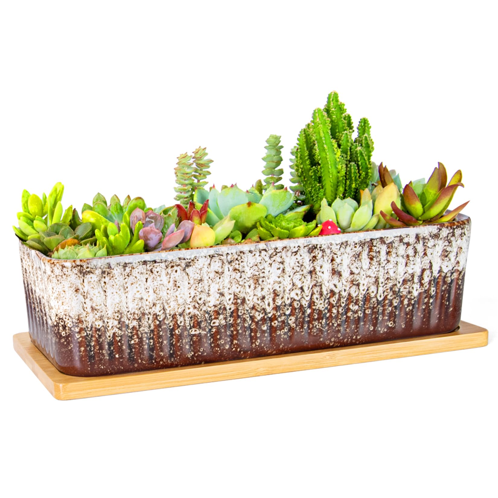 Amazon.com: Succulent Pots - 12 Inch Large Succulent Planters with