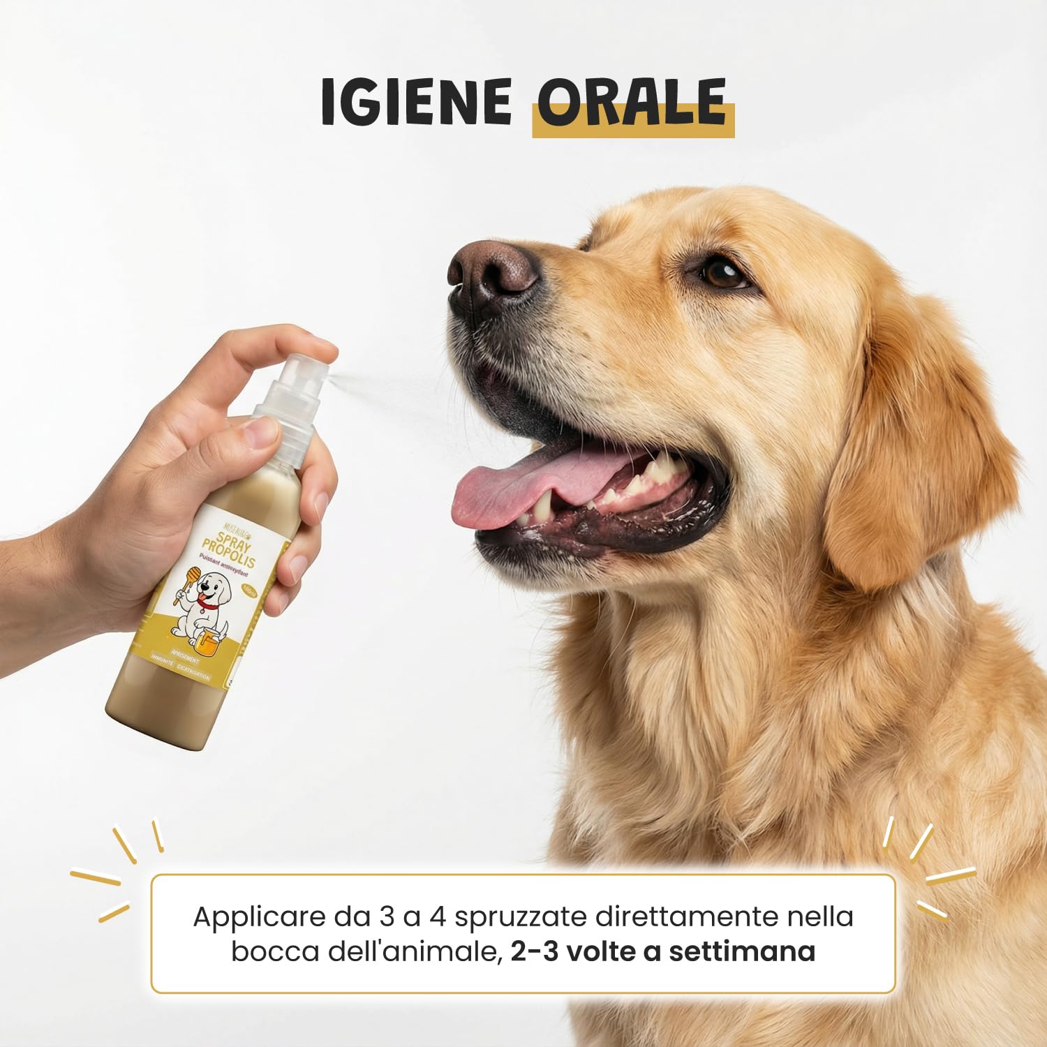 Spray Propoli Pura 100ml per Cani e Gatti | Igiene Orale, Placca & Alito Cattivo | Antibatterico & Antifungino Naturale | Senza Alcool | 3-4 Spruzzi 2-3x Settimana | Museau & Co
