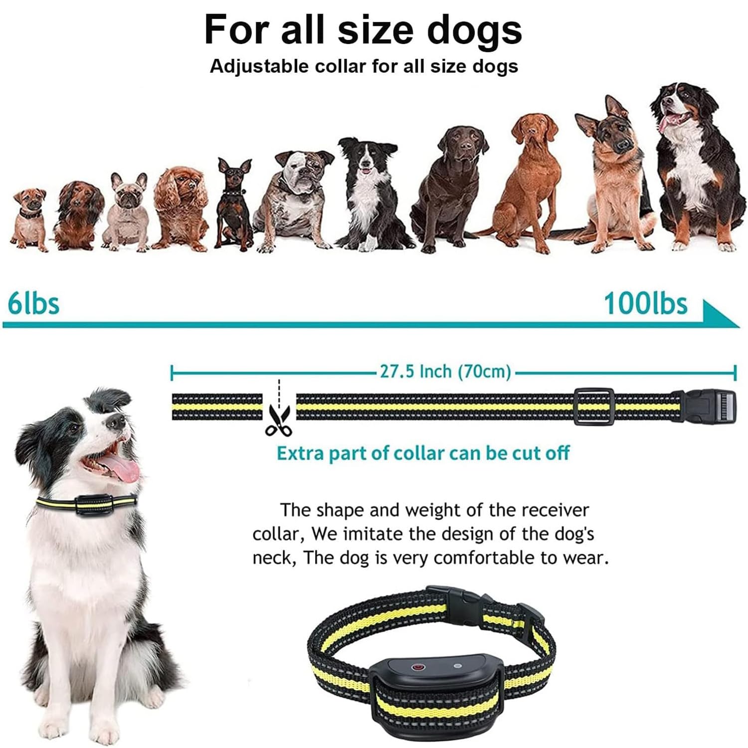DJXIK Dog Training Collar Remote Control Dog Training Collar Rechargeable Training Collar with Strong Vibration, Beep, Waterproof Dog Collar, 300 Meters Remote Range, Adjustable Vibration Levels,B