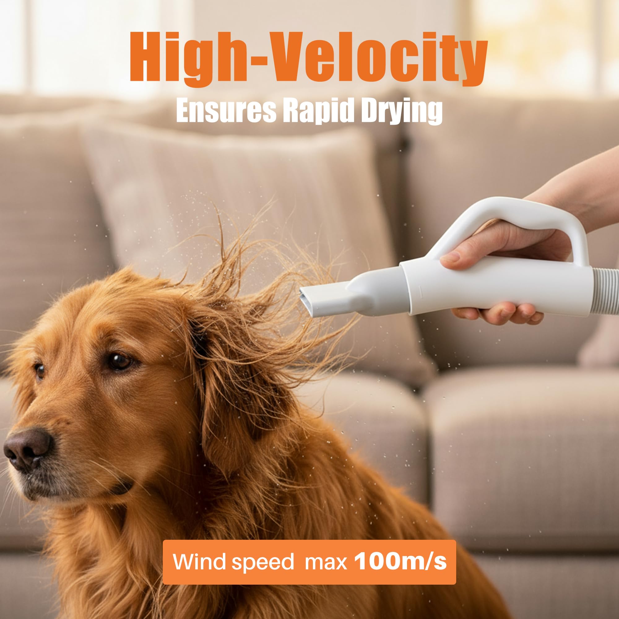 NEWBULIG Dog Hair Dryer with Heater for Grooming, Temperature Adjustable view 5