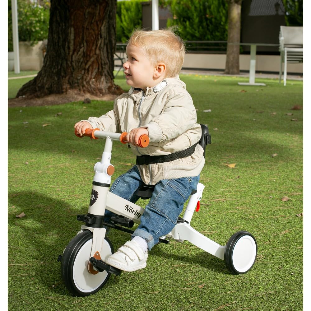 Interbaby Norby: 5 in 1 Dreirad und Laufrad mit Verdeck, 1 bis 5 Jahre