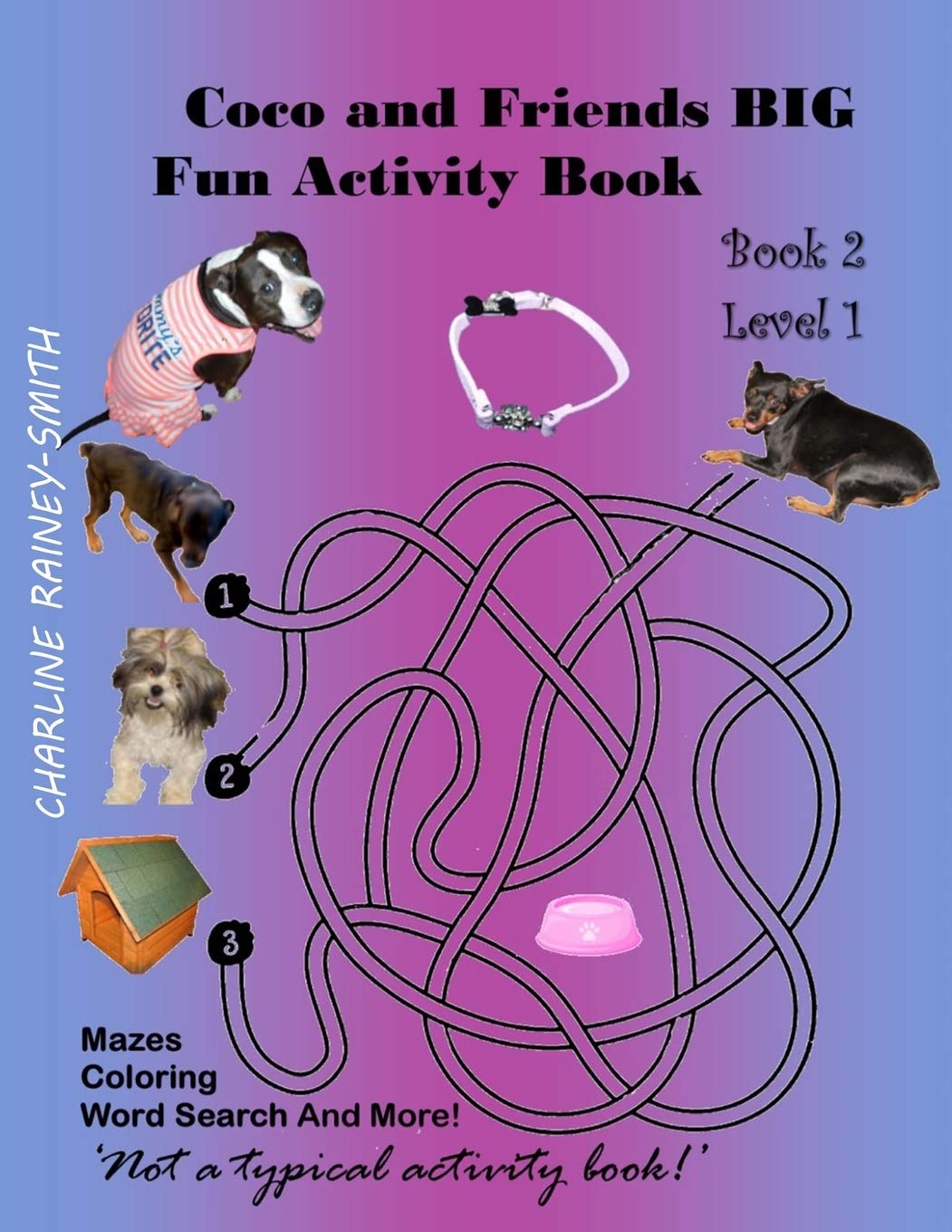 Coco and Friends BIG Fun Activity Book: 2 (Coco Activity Fun Books)