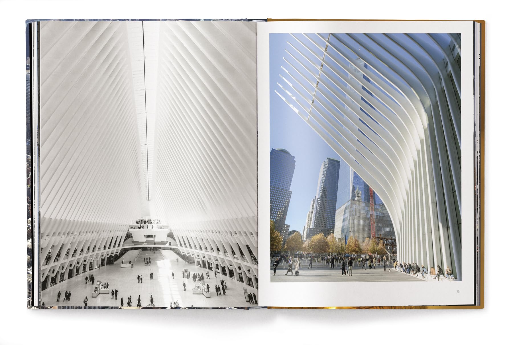 Iconic New York: (Revised Edition)