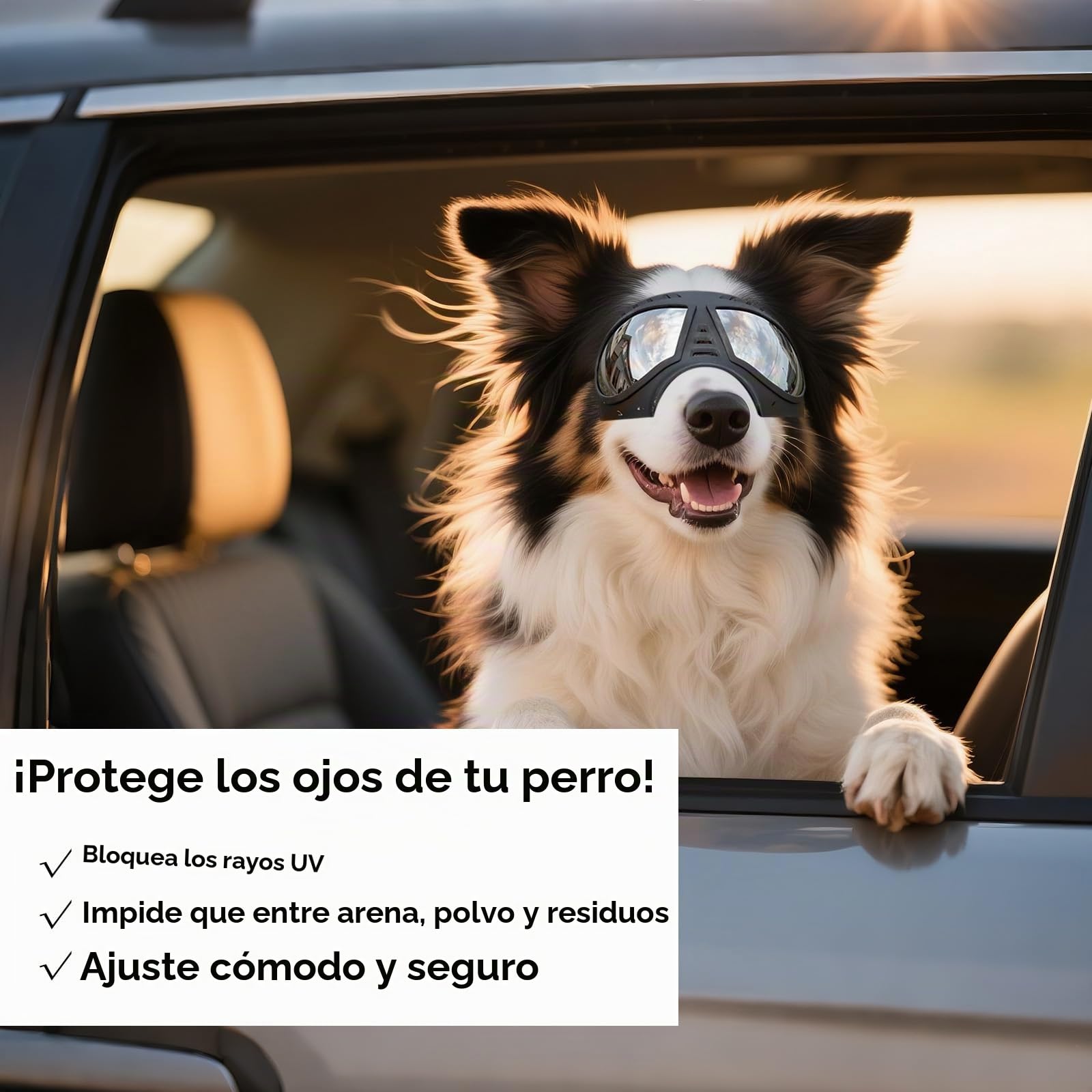 Namsan Gafas de Perro Gafas De Sol Para Perros De Mascotas Protección UV Gafas Impermeables Ajustables a Prueba de Viento para Perros Medianos / Grandes-Negro