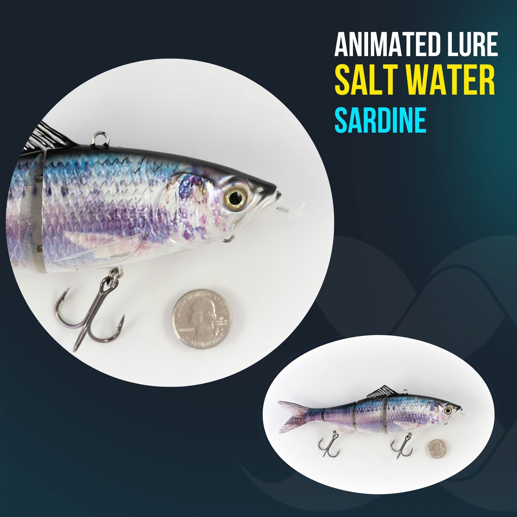 Animated Lure Saltwater (Sardine) Sports, Fitness & Outdoors