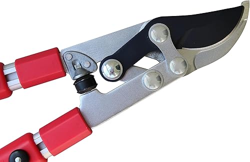 Miniatura 4 de TABOR TOOLS GG21A - Podadora de derivación extensible con acción compuesta, recortadora telescópica de árbol de 27 a 40 pulgadas, cortador de ramas