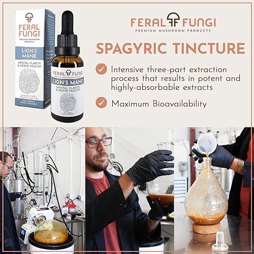 Miniatura 5 de Melena de león (Hericium erinaceus) 1 oz