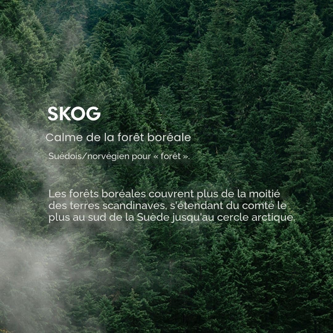 Skandinavisk Skog Recharge pour diffuseur de Parfum Forest avec 8 roseaux, durée de Vie + 3 Mois Notes : Aiguilles de pin et Pommes de Sapin, sève de Bouleau et muguet 200 ML