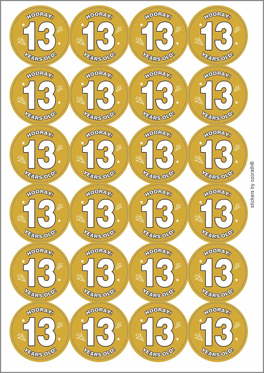 Hooray 13 Thirteen Thirteenth 13th Birthday Circular Matt Paper Stickers A4 Sheet of 24 (Each Sticker is 45mm Diameter)