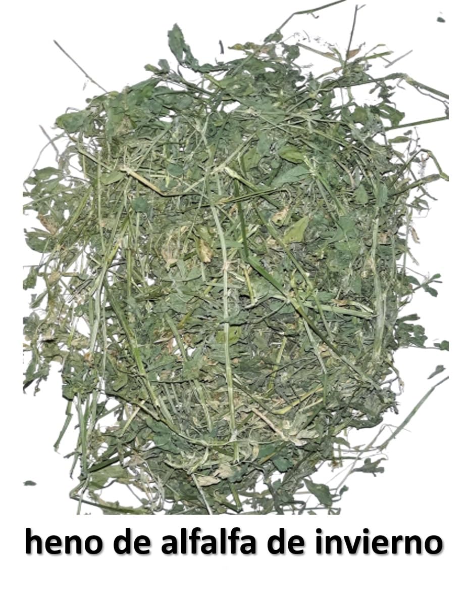 6kg Heno de Alfalfa – Directamente del Agricultor en España
