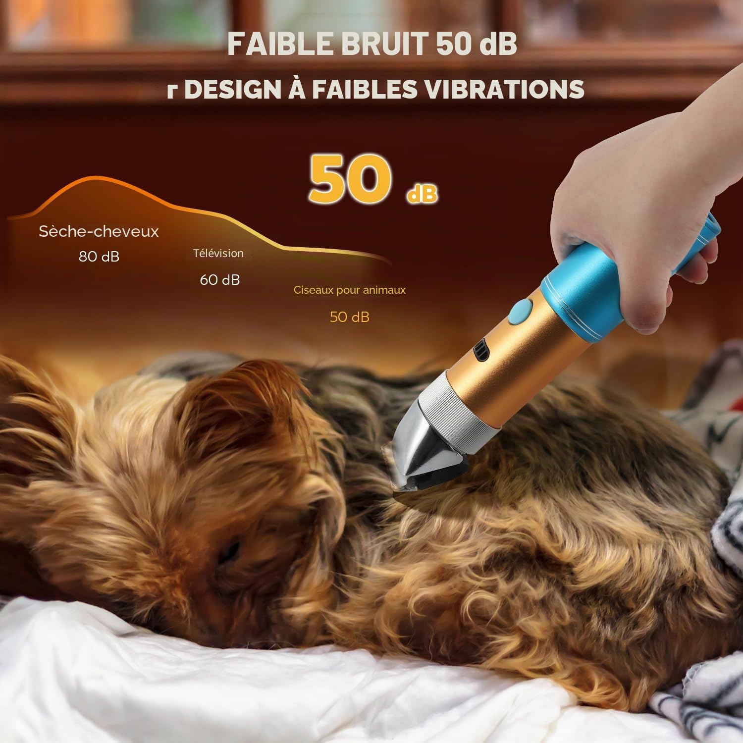 CGOLDENWALL 400W Tondeuse Chien Tondeuse à Moutons Électrique Rechargeable Tête de Coupe Peigne Limite Intégrés Amovible 5H en Veille Faible Bruit (3MM+6MM) | Professionnelle, <50dB, 5h Veille, Rechargeable, Anti-Poils Longs, Tous Poils