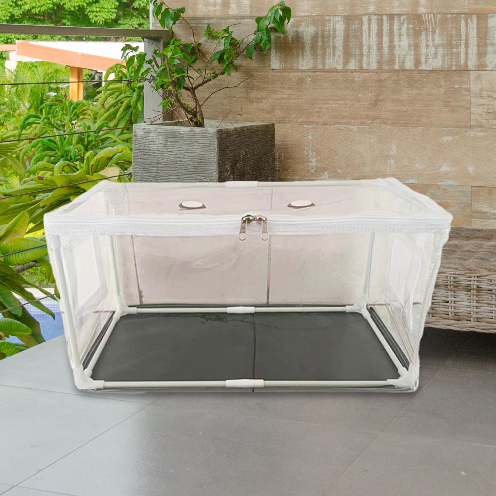 Kit de Culture de Champignons Portable à Faire Soi-même (50 X 25 X 25 Cm)