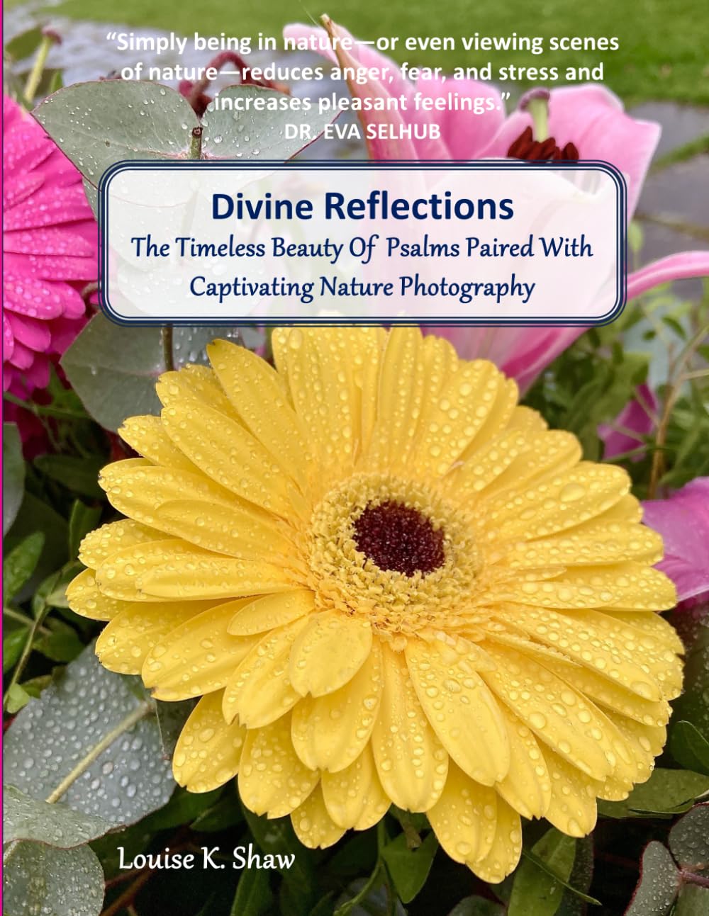 Divine Reflections: The Timeless Beauty Of Psalms Paired With Captivating Photography (For people housebound; with Dementia, Alzheimers, or ... Religious Study) (Photographic Inspirations)