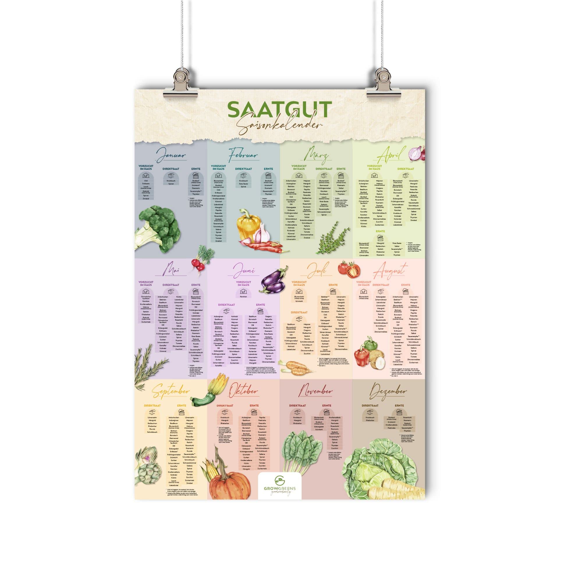 Saisonkalender Poster A1 - Ewiger Aussaatkalender Gartenkalender als Plakat mit Illustrationen