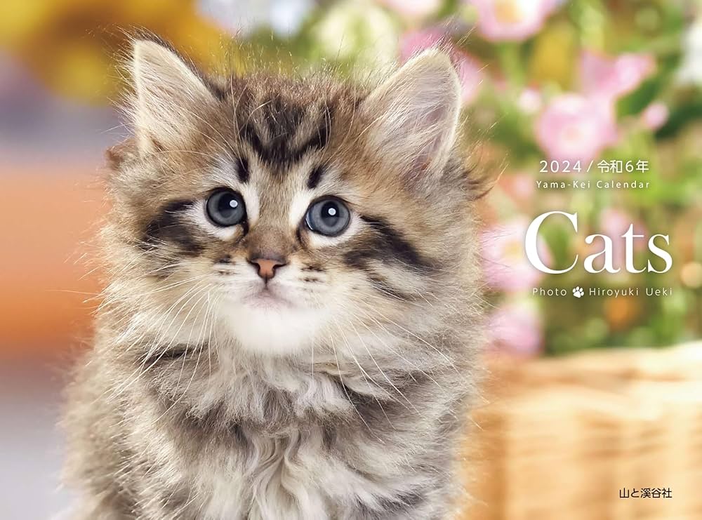 カレンダー2024 Cats（月めくり/壁掛け・リング） (ヤマケイカレンダー