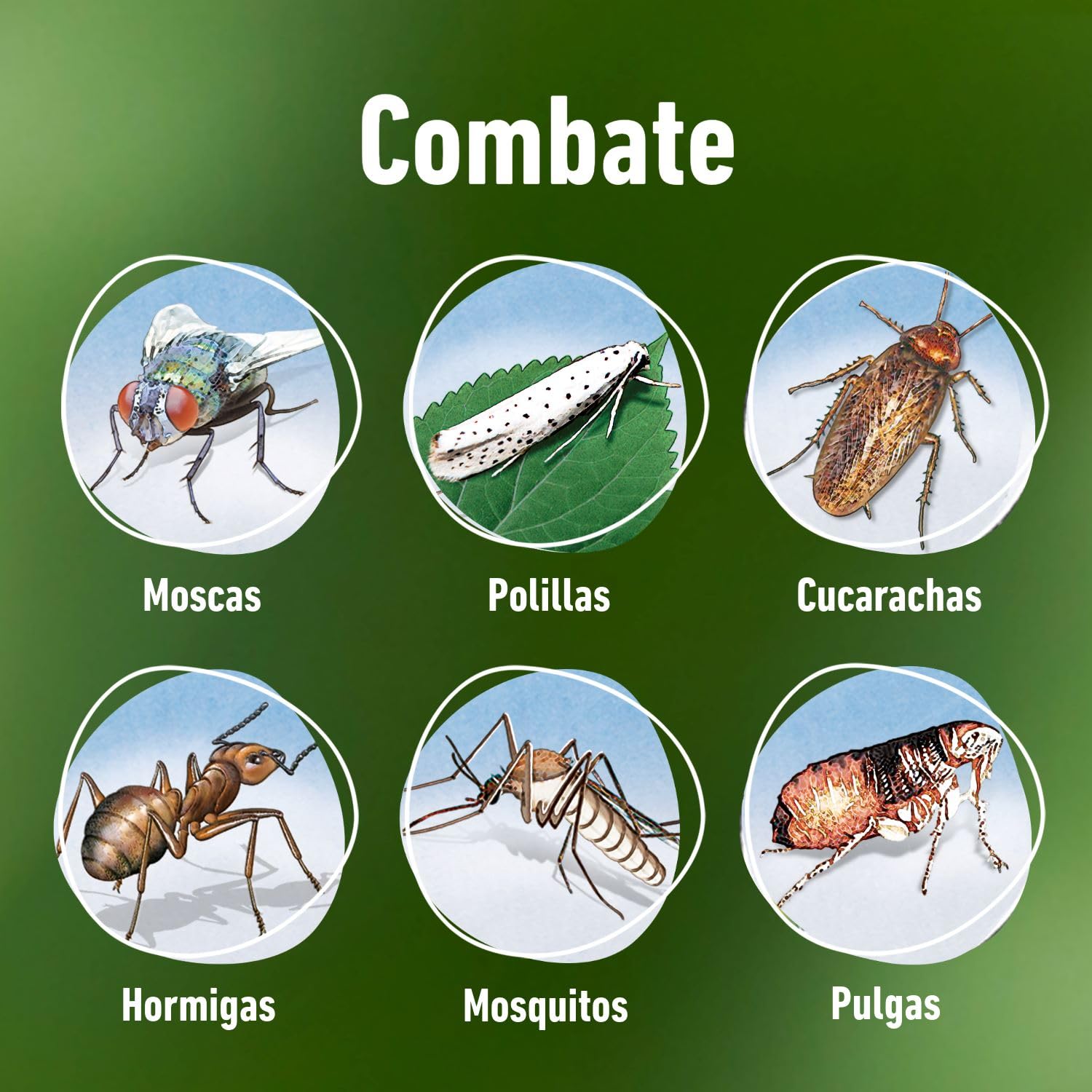 COMPO - Barrera de insectos Insecticida para insectos rastreros y voladores, Pulverizador, Acción de choque de hasta 3 meses, 1000 ml