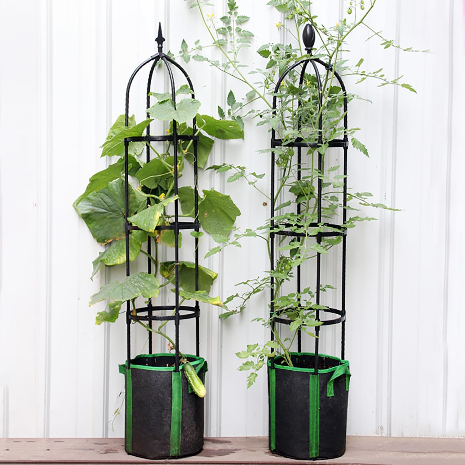 Garden Trellis and Climbing Plant Clip Splicing Climbing Vine Frame Rose Climbing pergola Plant Climbing Frame Support Flower Frame with Cable Set Black (Φ25.4cm-H175cm+Cable tie Set)
