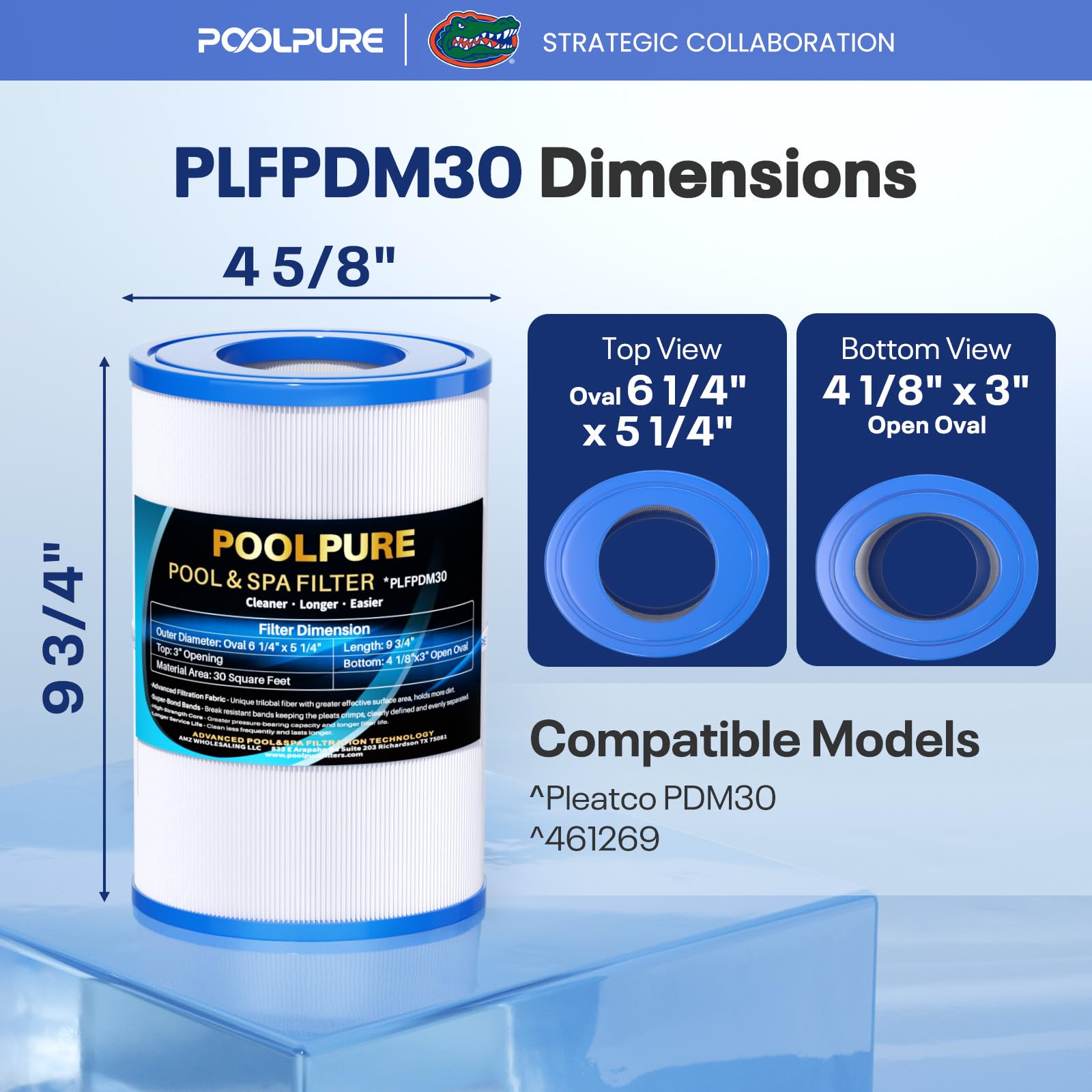 POOLPURE Lot de 2 filtres ovales PDM30 compatibles avec Les jacuzzis Dream Maker 461269, 30 m²