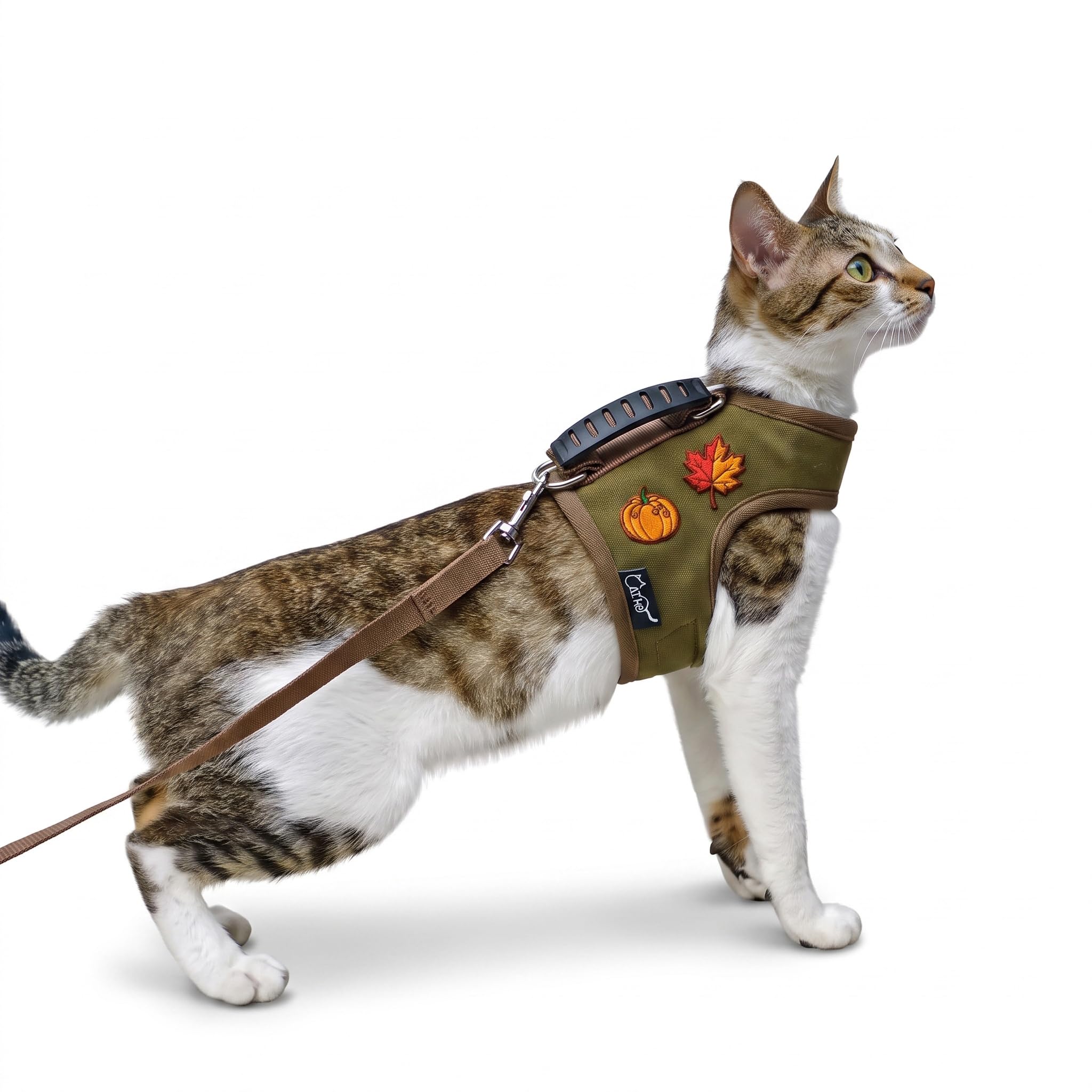 Cat Harness and Leash Set for Walking, Deepgreen, Large, for Thanksgiving